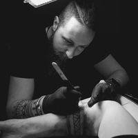 theravenfromthenorth