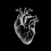 suara asli - AnDes23