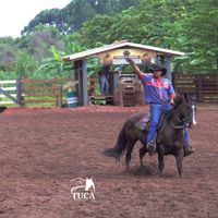 alexandree_oliveiraa