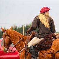 dalmadoleschan847