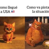 chaparritaalbores8