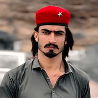 tayabafridi527