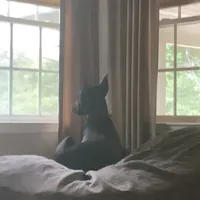 original sound - ...opulent