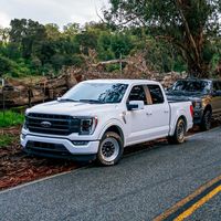elgallo5.0