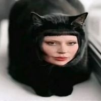 calliesteelee