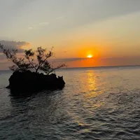 original sound - beno.baltazari4