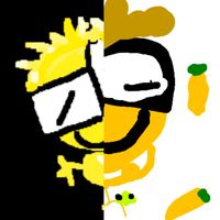 cedmuzi