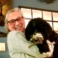 griffin_akbernedoodle