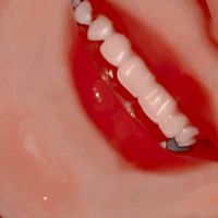 labios_ermosos234