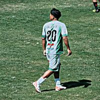 jhoelcallata10
