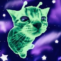 kenna.catcha.break