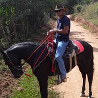matiasferreira828