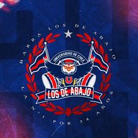 losdeabajobarrabrava1989