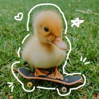 ducky_656