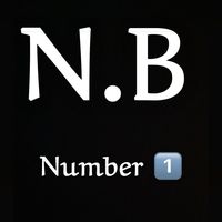 nb_unknown1