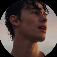 shawwnsoft