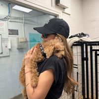 adoptpupsdc