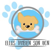 ellostambiensonucn