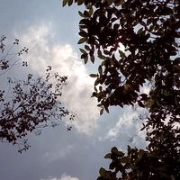 lia1234567890_