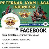 putra_tjm_roosterfarm