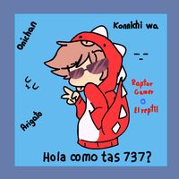 domenicav11