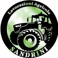 sandrini_95
