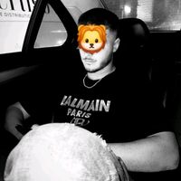 arjan.domi