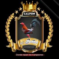danyalejojcampos0