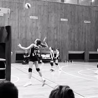 kalina_bradaseviccc_