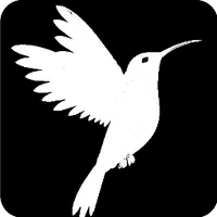 original sound - filiplaytv.cristiano