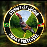 studiotrescoroas