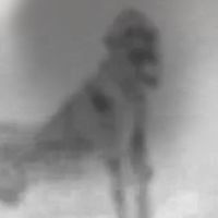 Lavender town theme slowed