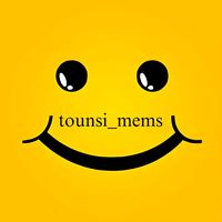 tounsi_mems