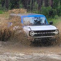 fossil.bronco