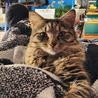 elizabethchphernandez