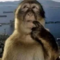 original sound - user1348495937295