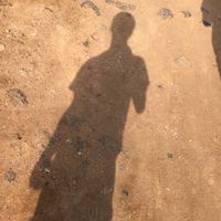 mubi_911