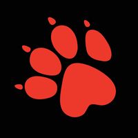 naughtydog