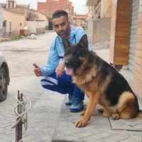 djabifouad