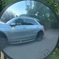 comfortingdogtuesday