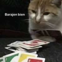 barajen.bien