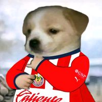 papita2380