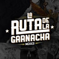 sonido original - LaRutadelaGarnacha