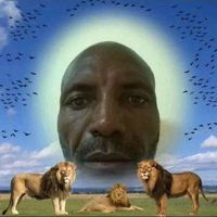 greenbeancasserole22