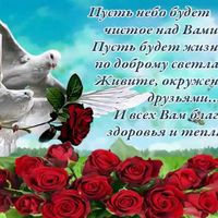 user156741331494