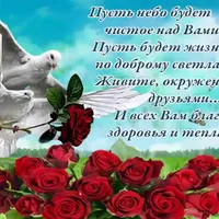 original sound - user156741331494