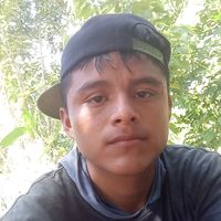 user6793292629