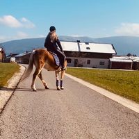 jasmin_und_die_ponys