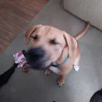 original sound - jjjaylyn