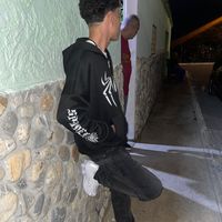 pastran_hp